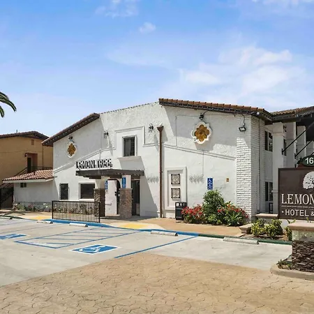 Lemon Tree Hotel And Suites-2